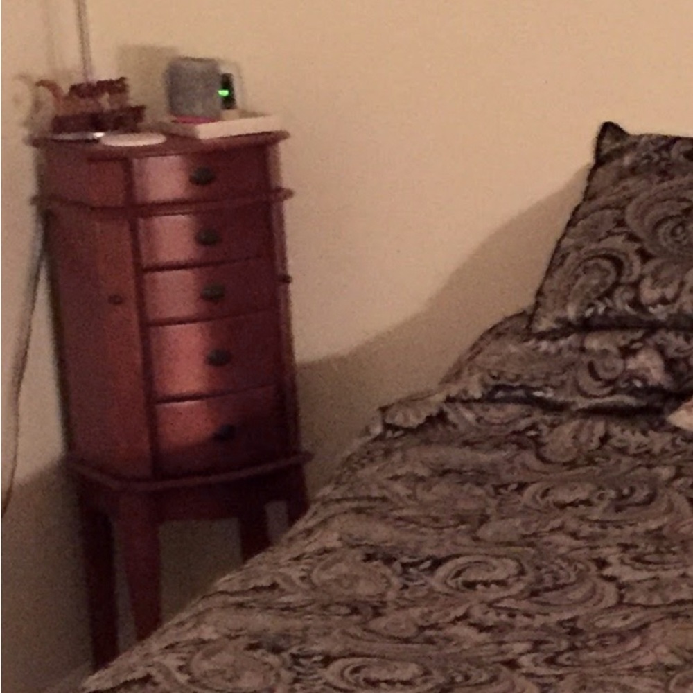 Upright wayfair Jewerly storage